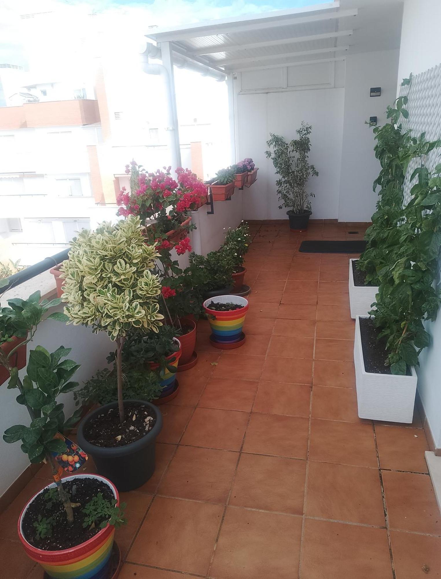 Apartament Golf, Piscina,Playa Roquetas de Mar Zewnętrze zdjęcie