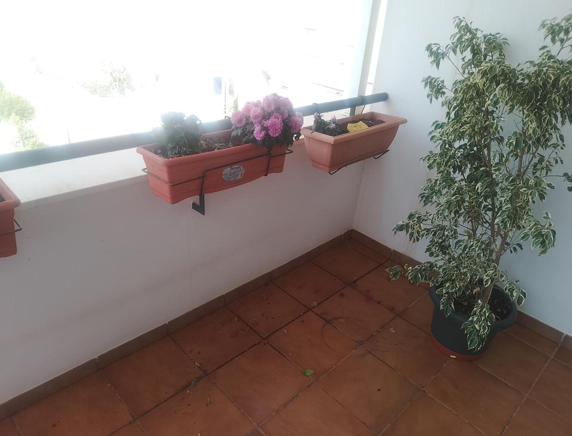 Apartament Golf, Piscina,Playa Roquetas de Mar Zewnętrze zdjęcie